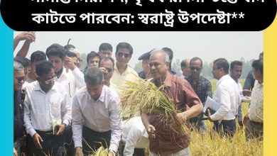 **সীমান্ত নিরাপদ, কৃষকরা নিশ্চিন্তে ধান কাটতে পারবেন: স্বরাষ্ট্র উপদেষ্টা**