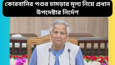 কোরবানির পশুর চামড়ার মূল্য নিয়ে প্রধান উপদেষ্টার নির্দেশ